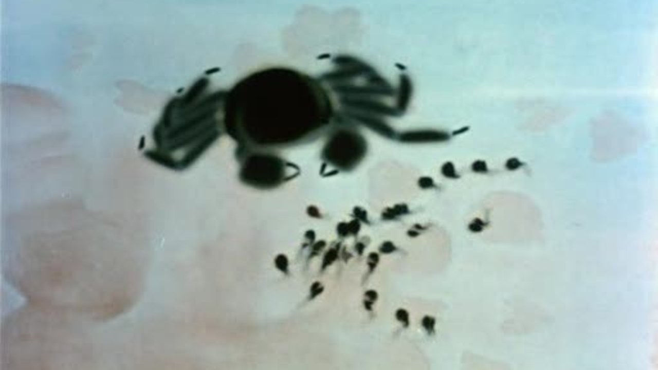 Little Tadpoles Search for Mama