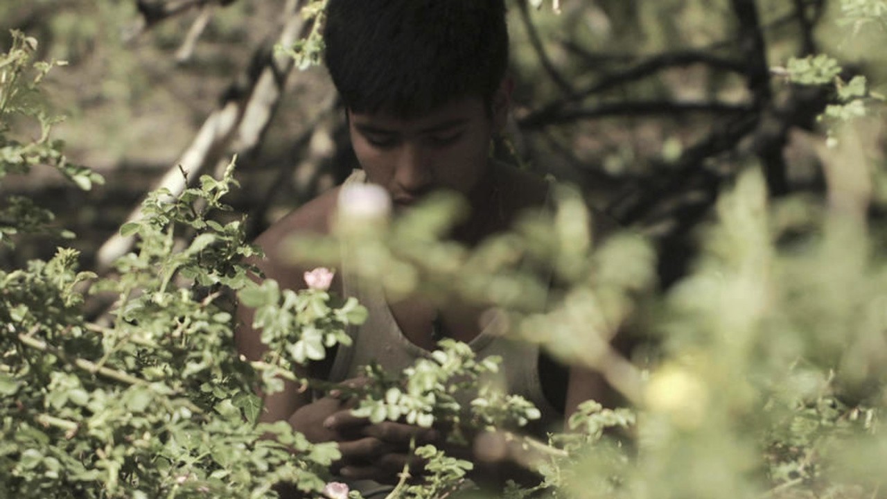 The Wild Ones