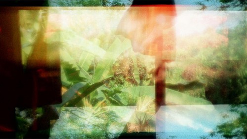 Ashes