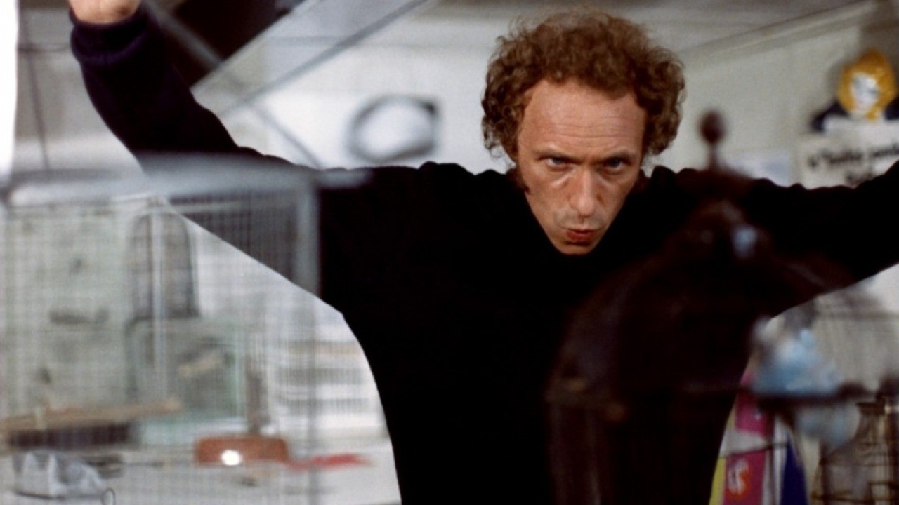 Image du film Le Distrait