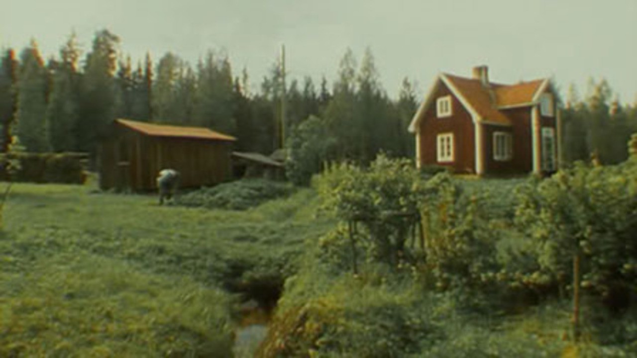 The Old Man in the Cottage