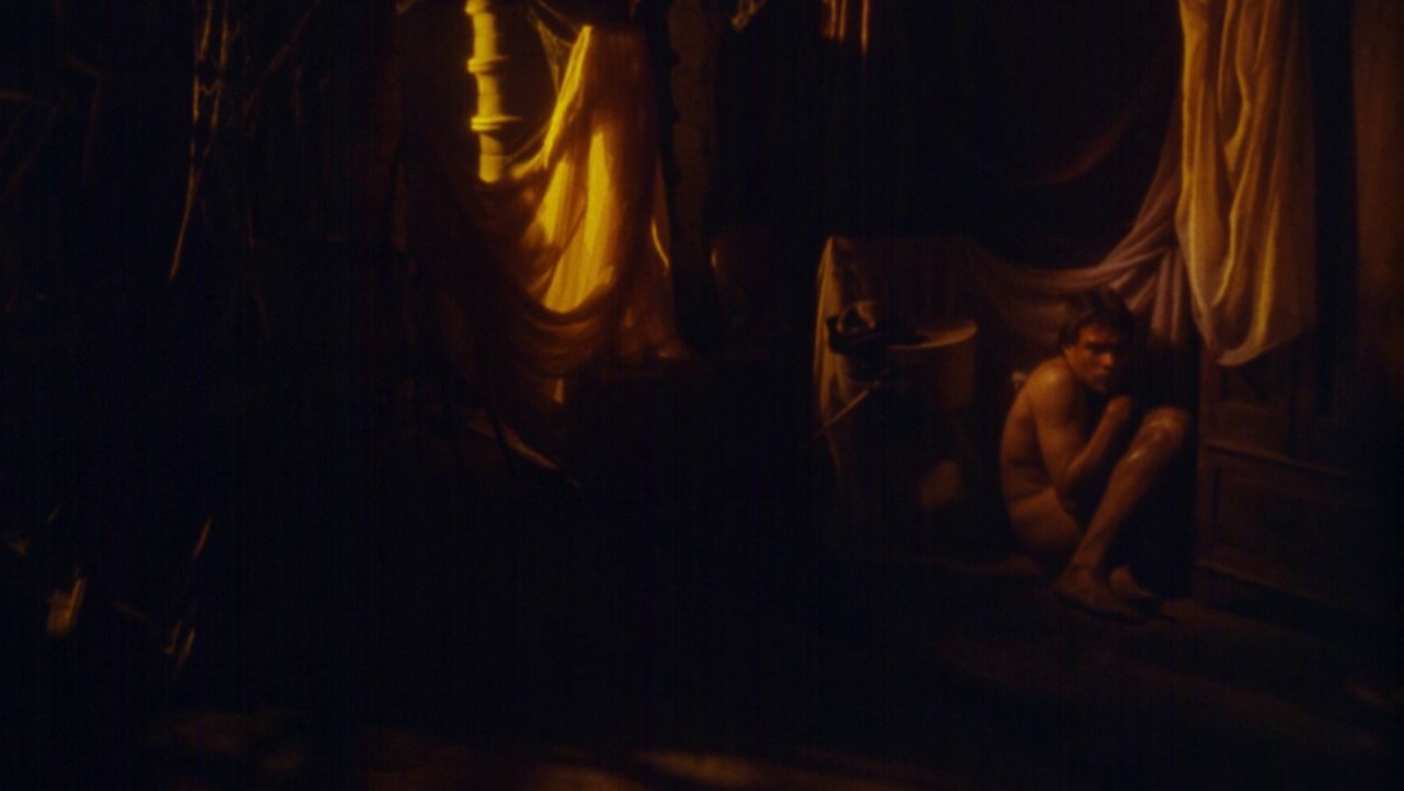 The Shadowed Mind