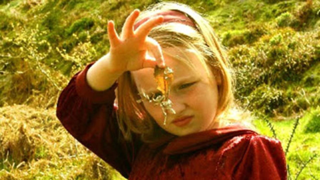The Faeries of Blackheath Woods