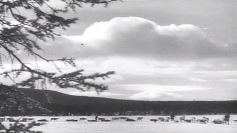 Wind from the West