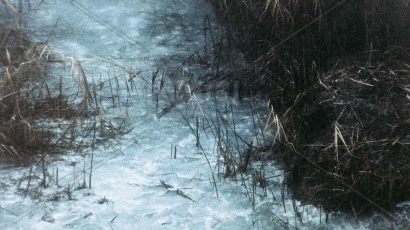 Down the River