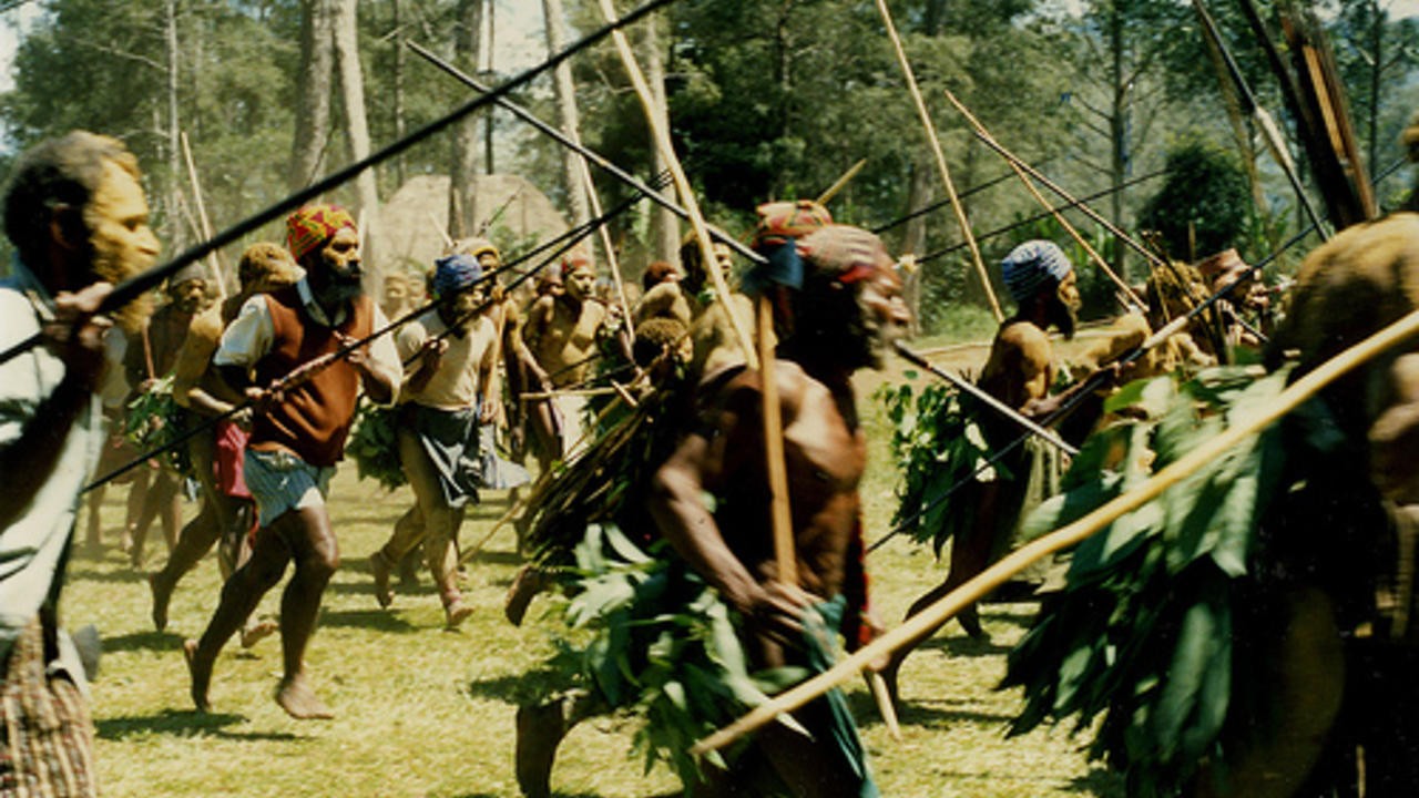 Image du film Black Harvest
