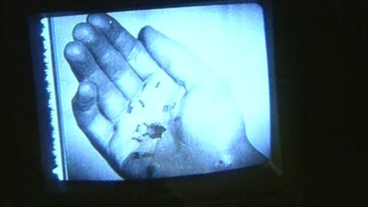 The Expression of Hands