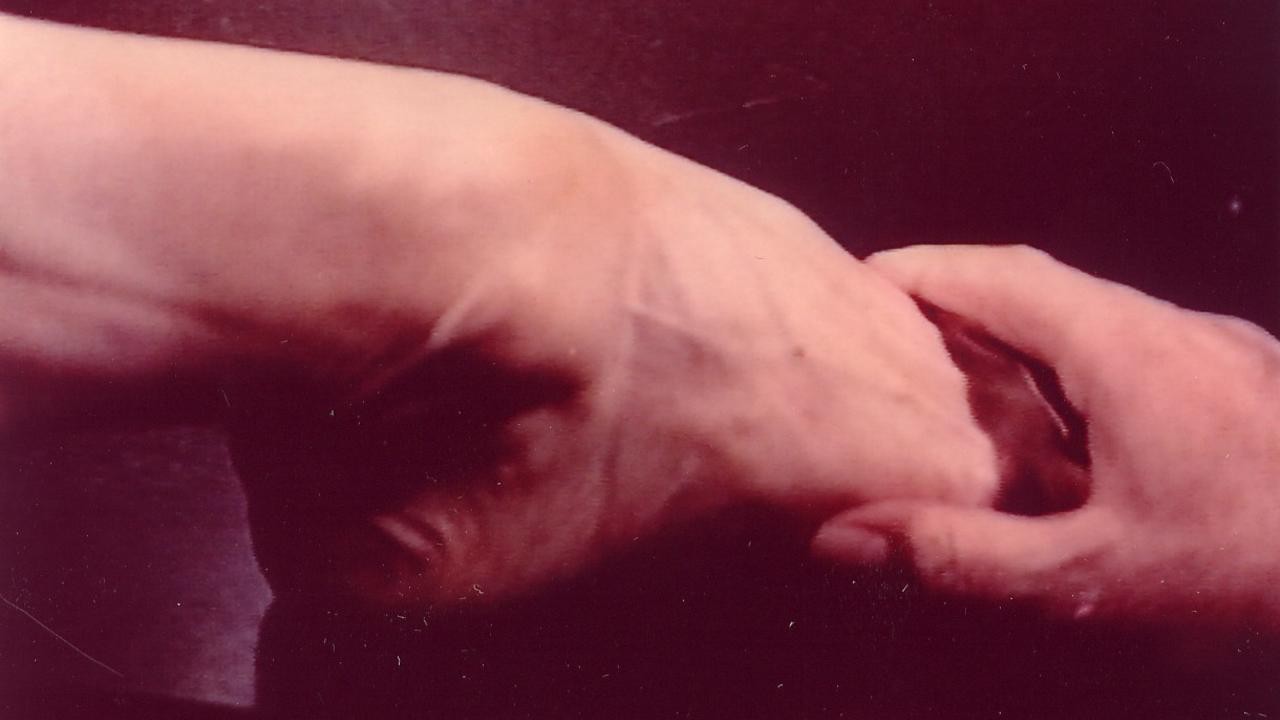 Image du film La Rencontre