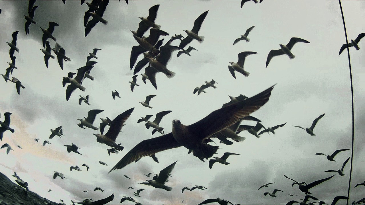 Image du film Leviathan