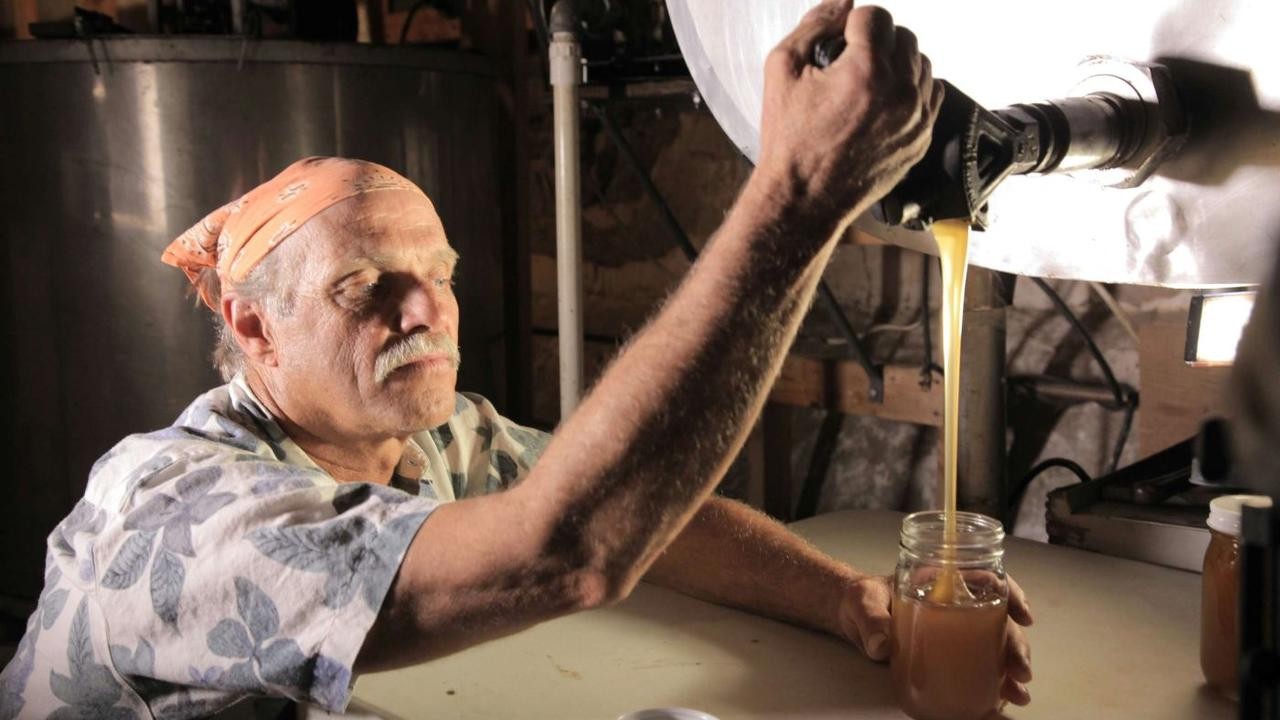 Image du film Des Abeilles et des Hommes