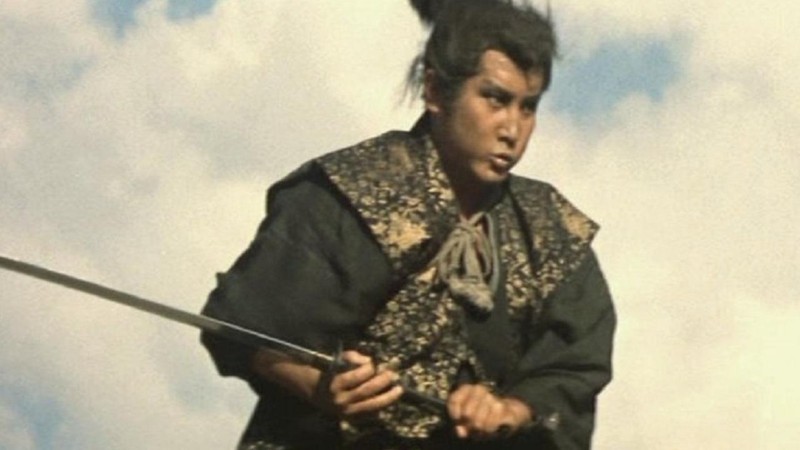 Miyamoto Musashi VI