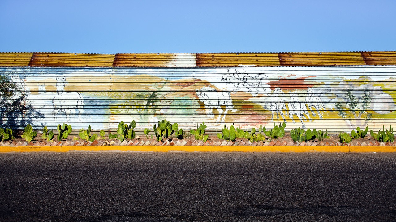 Tectonics