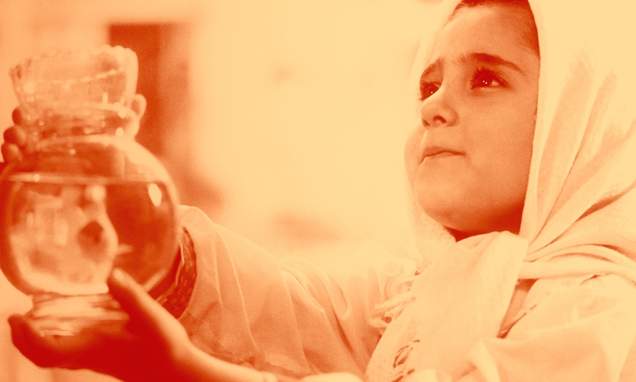MAGIC FROM IRAN