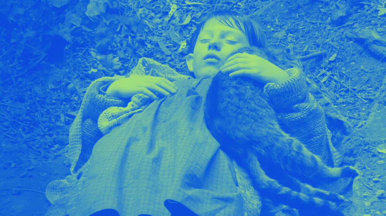 THE LIVING AND THE DAMNED: FILMS BY BÉLA TARR