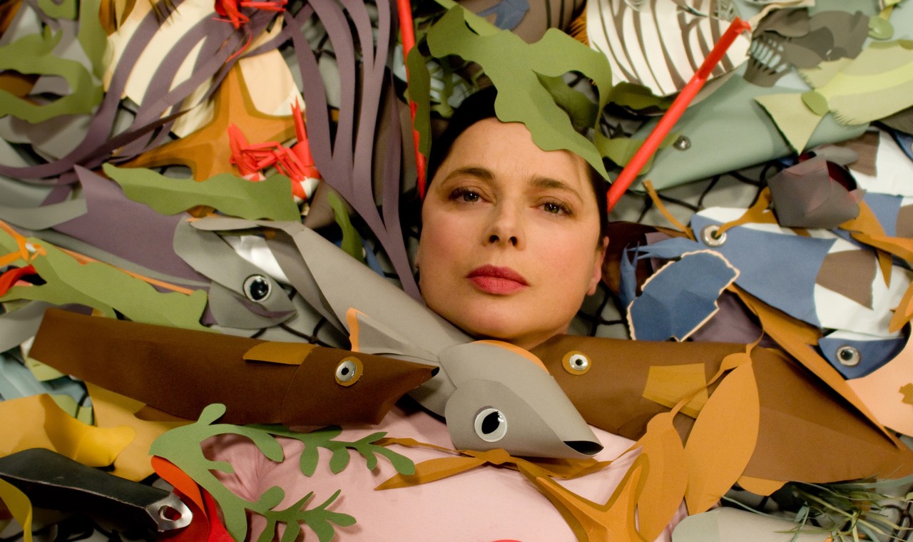 Kawaiidetectiveenthusiast collection