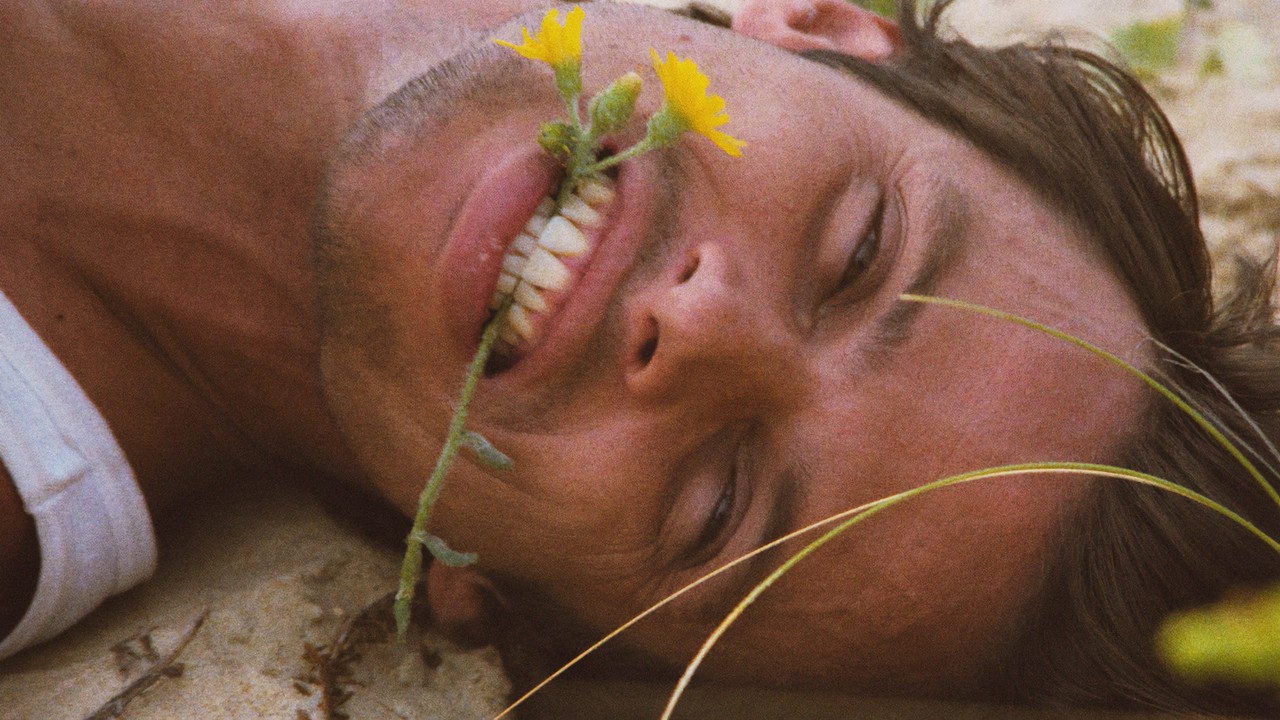 SINCERE PROVOCATIONS: TWO FILMS BY CATHERINE BREILLAT