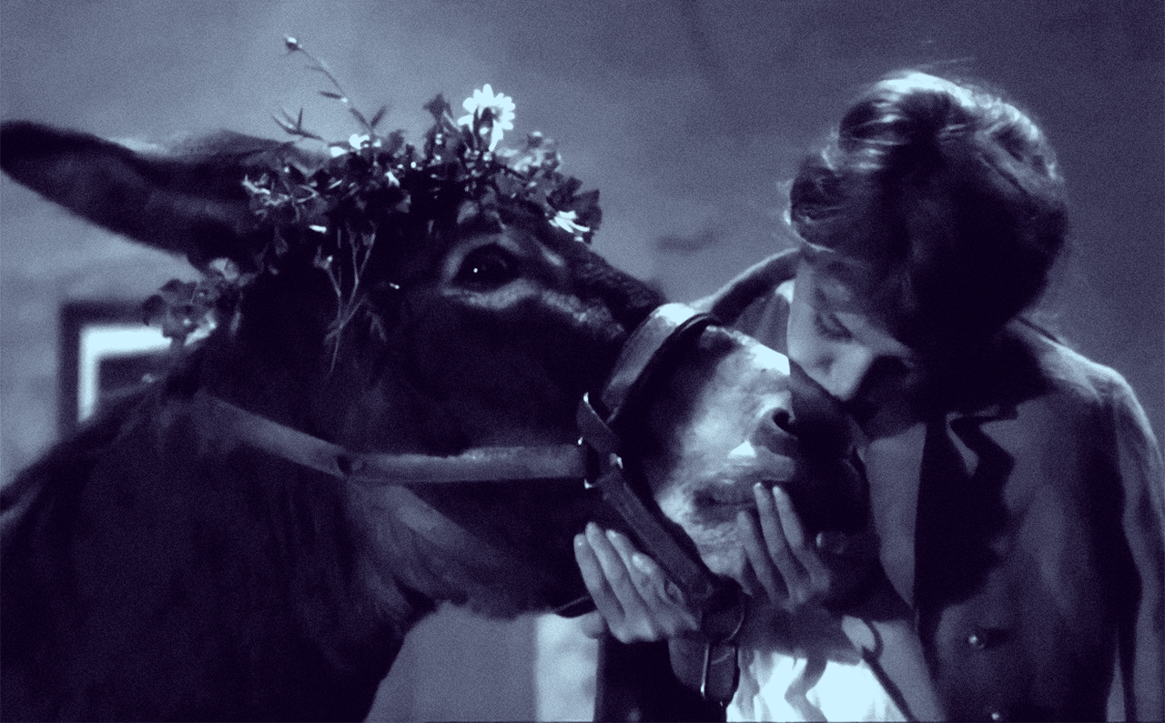 İYİ, KÖTÜ VE EŞEK: ROBERT BRESSON’DAN İKİ FİLM BİRDEN