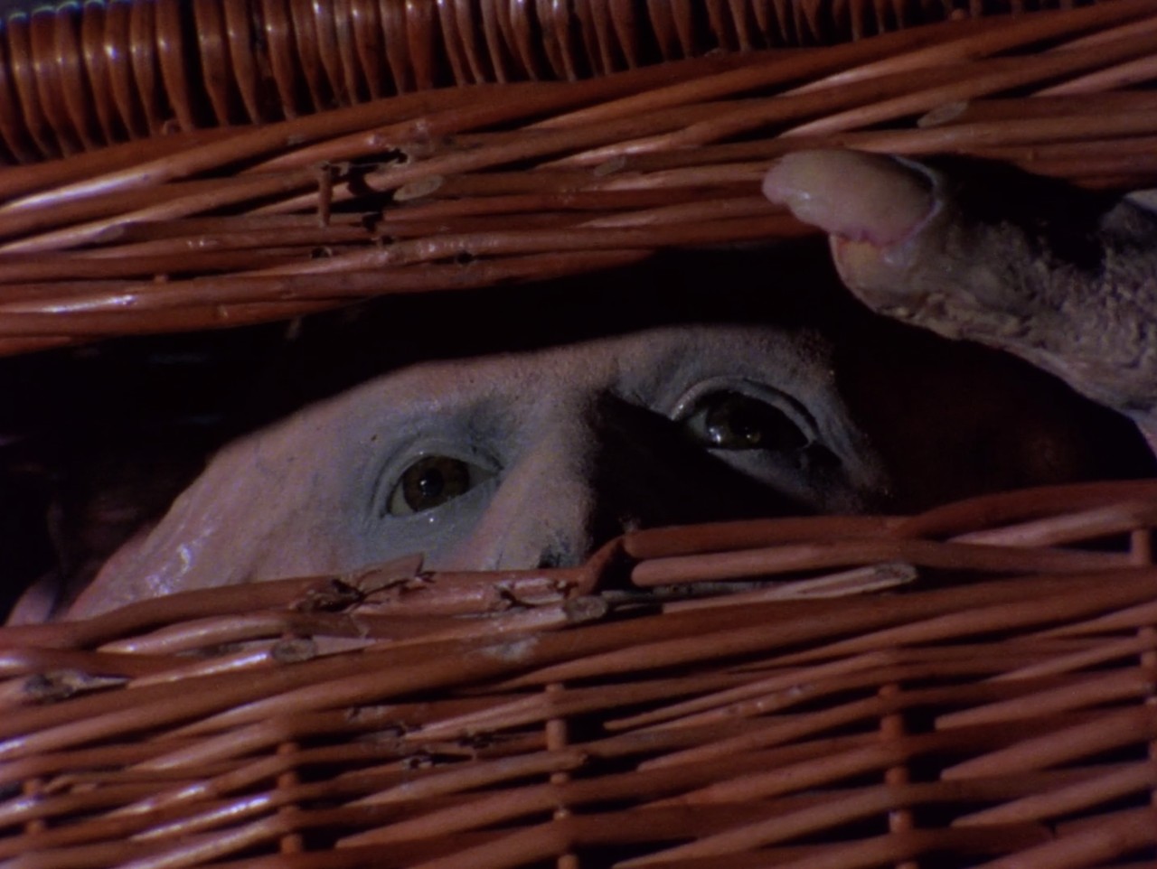 FRANK HENENLOTTER A DOUBLE BILL