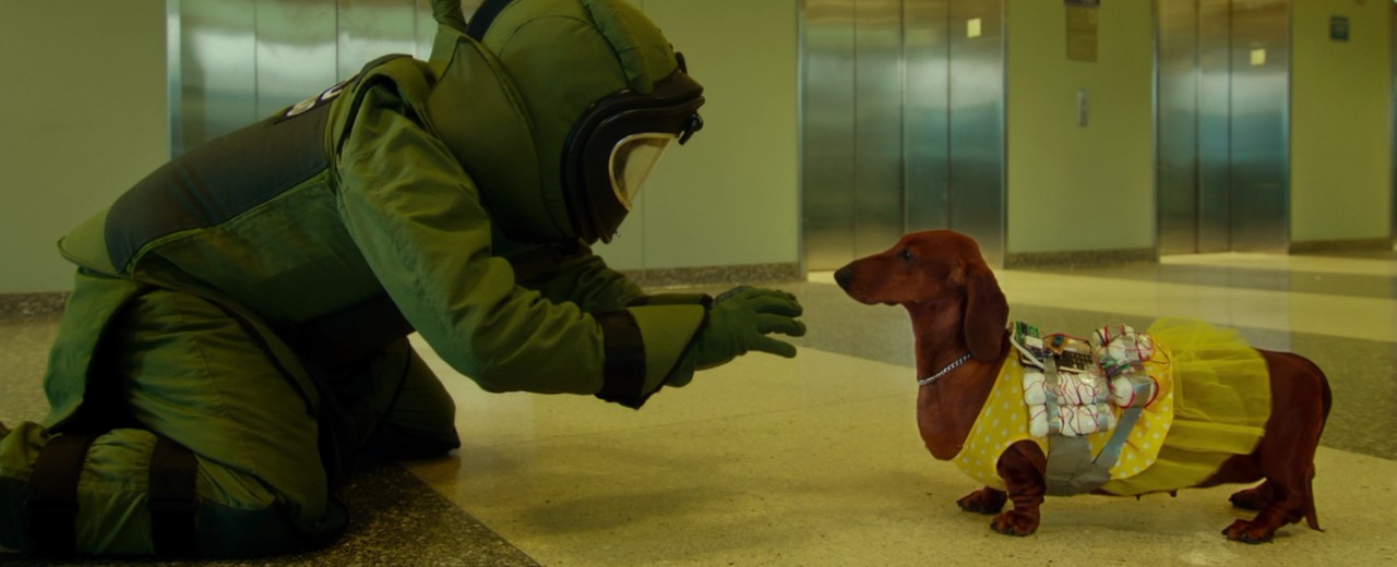 A DOG'S LIFE: TWO BY TODD SOLONDZ