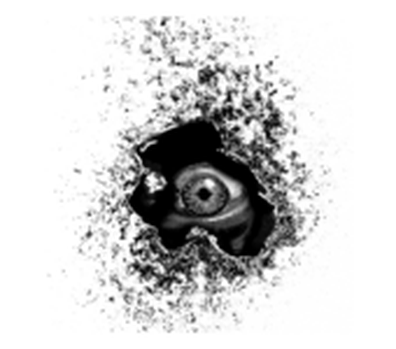 Peephole FilmFest
