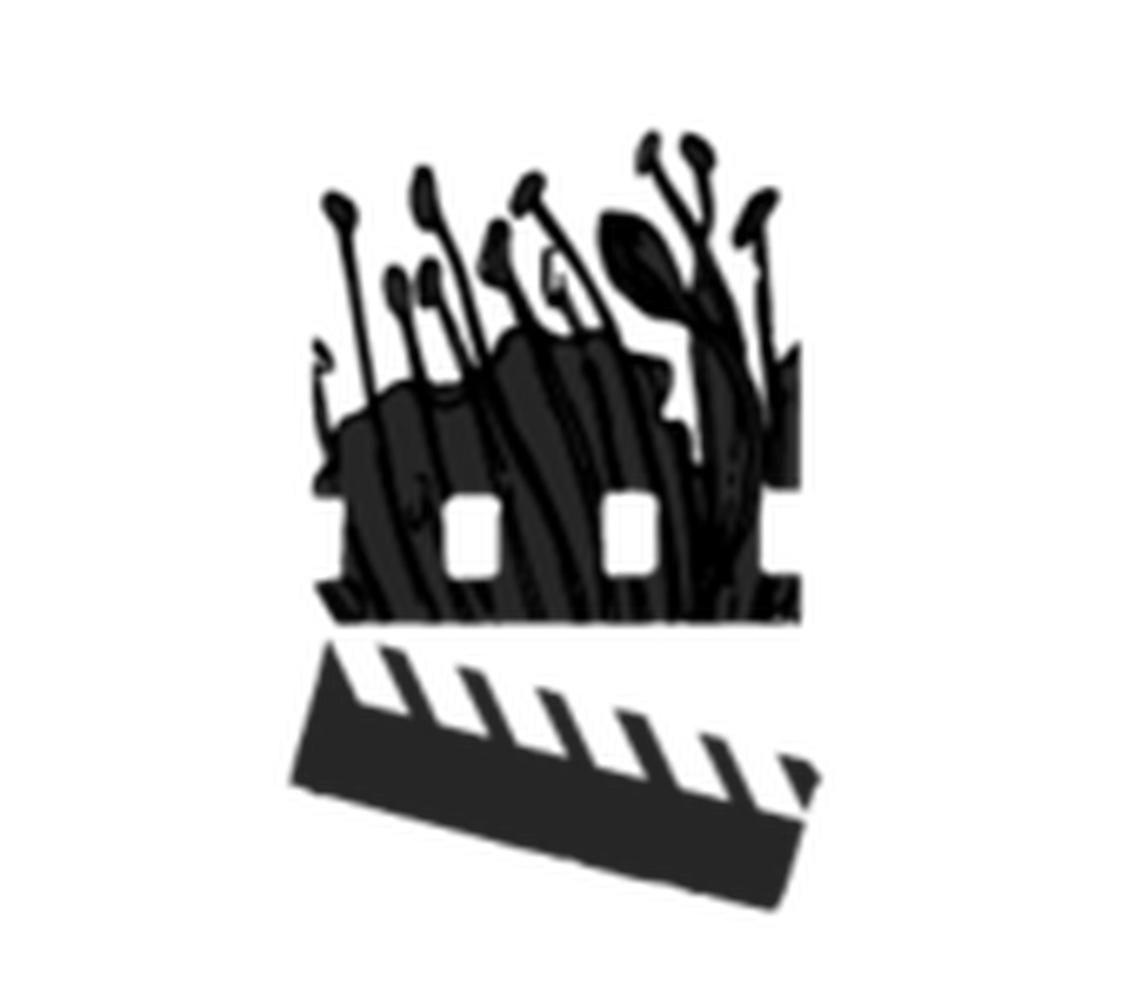 Salina DocFest - International Documentary Festival