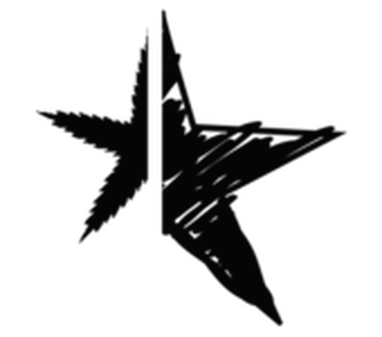 Kinosuite International