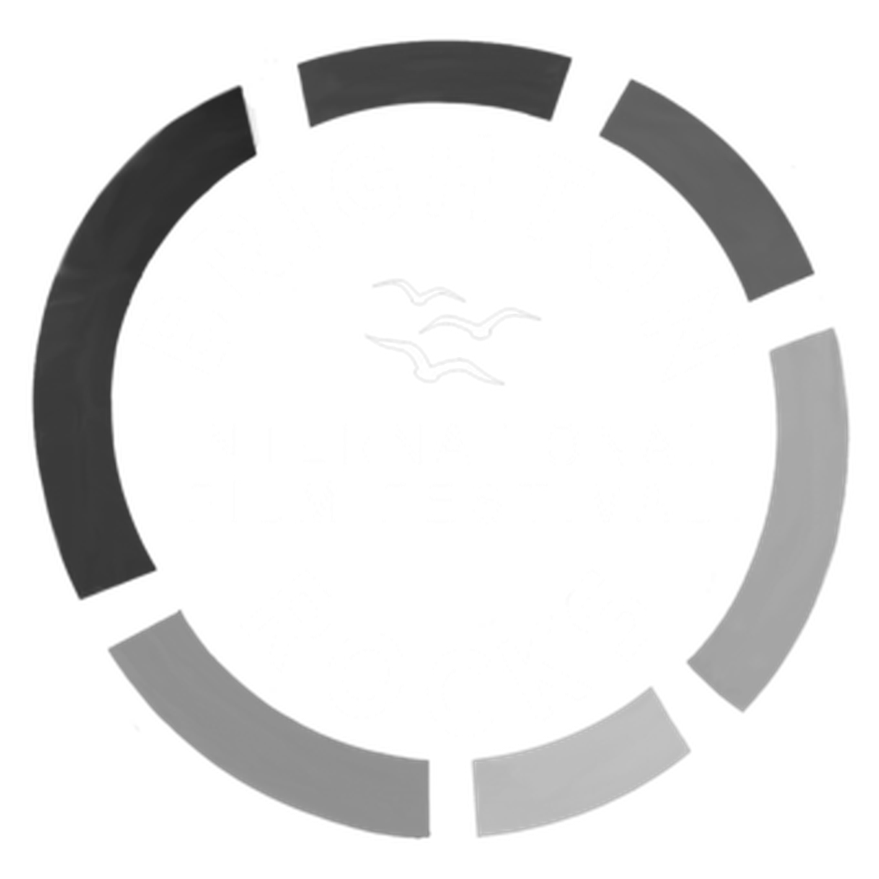 Brighton Rocks International Film Festival