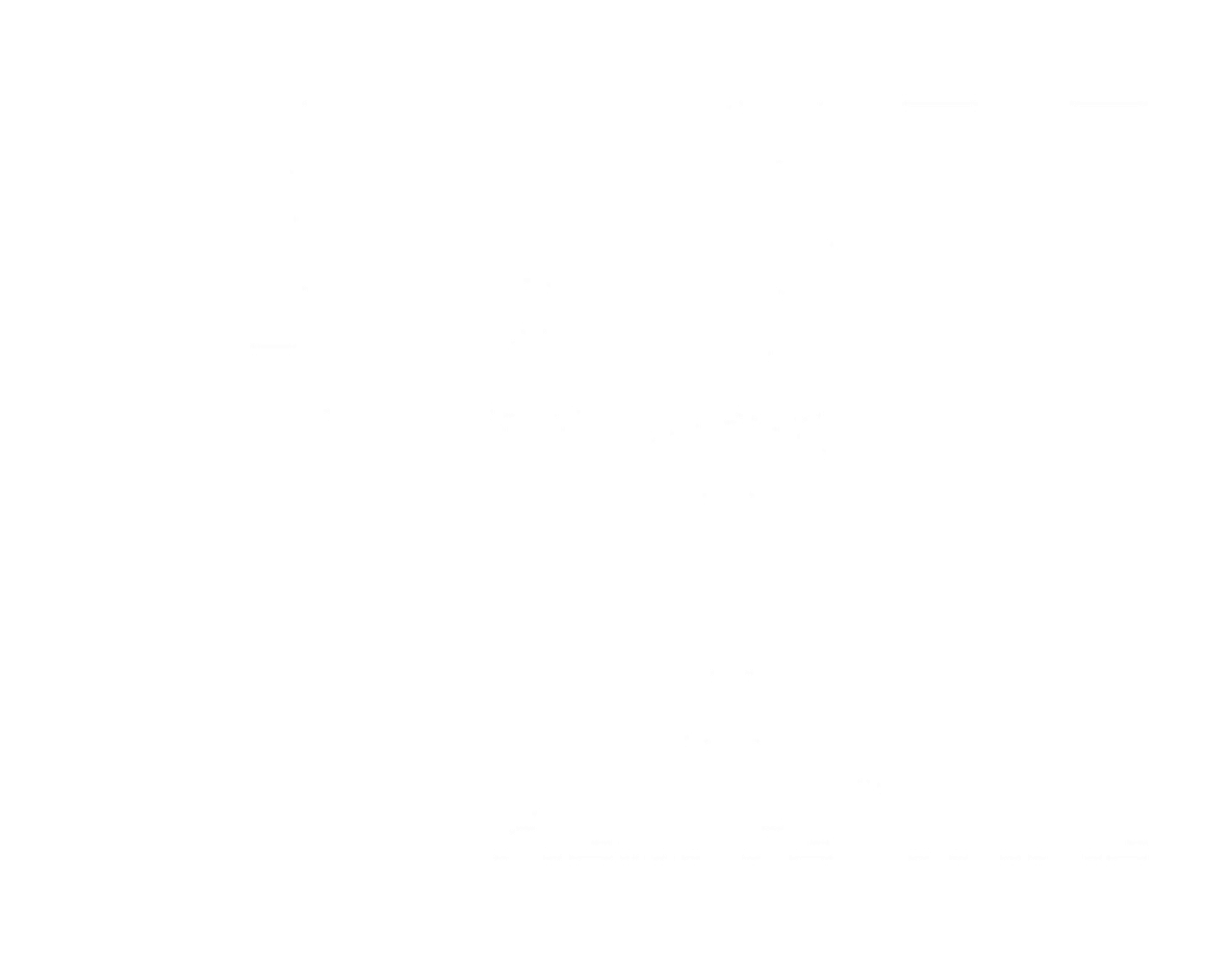 Bushwick Film Festival