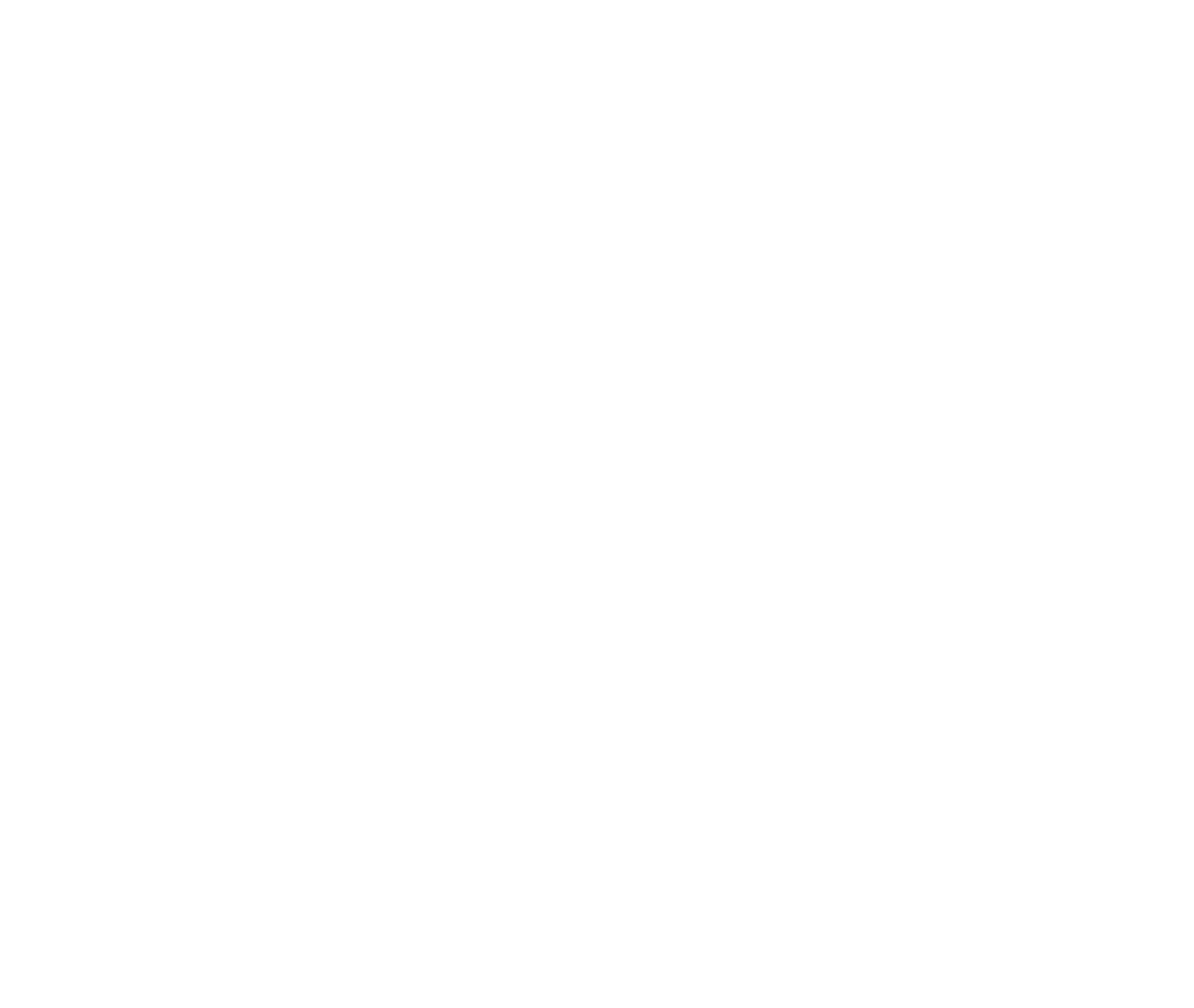 Buffalo International Film Festival
