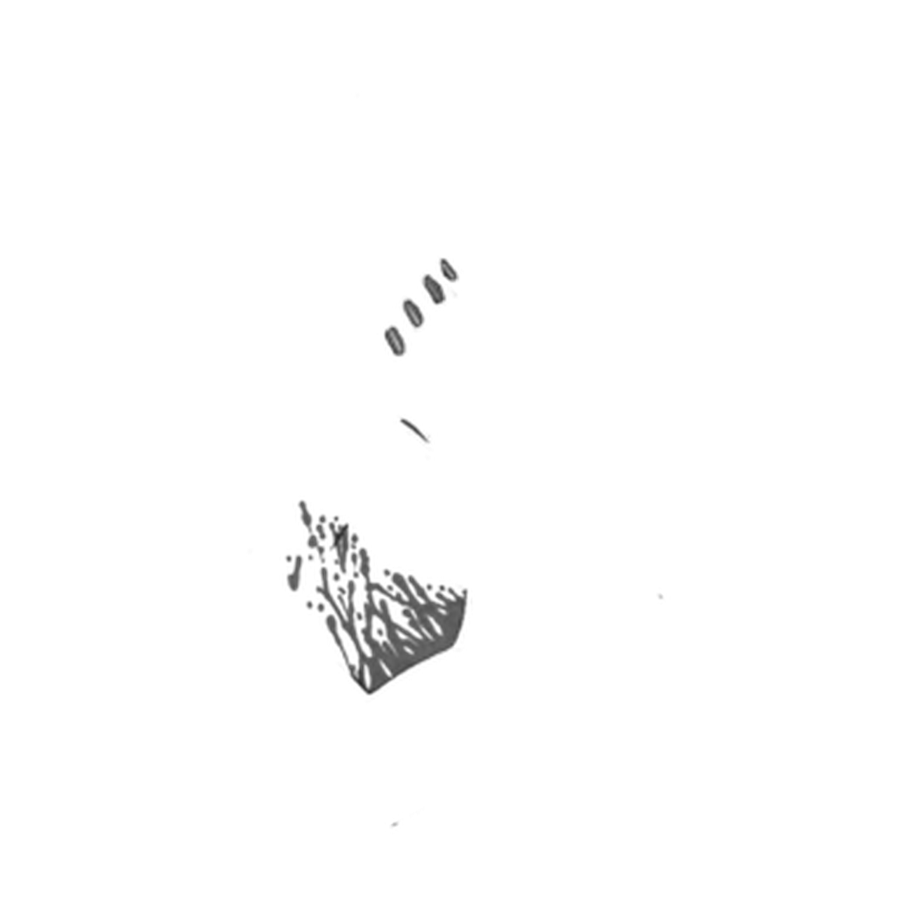 Renegade Film Festival