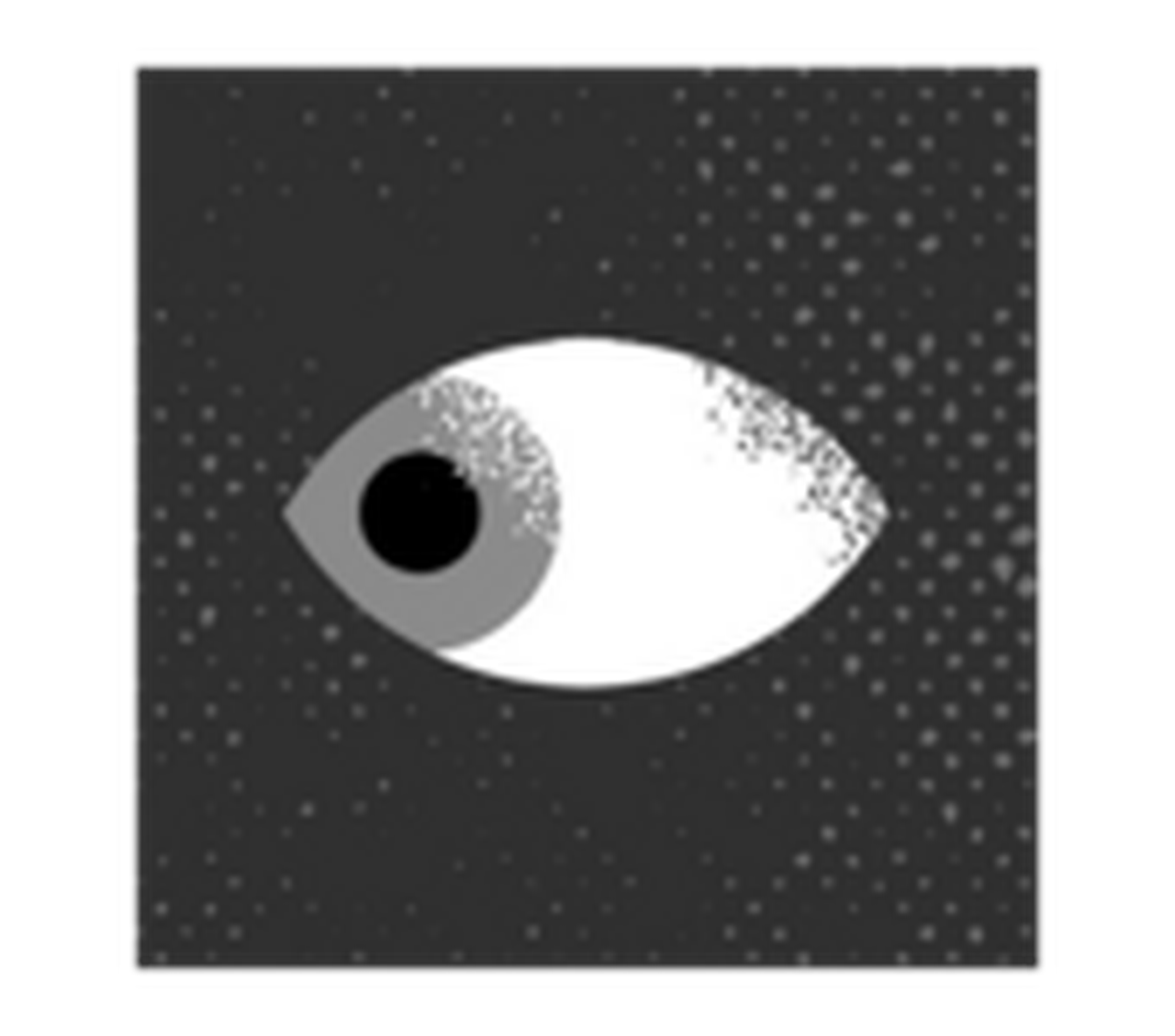 La Mirada Tabú