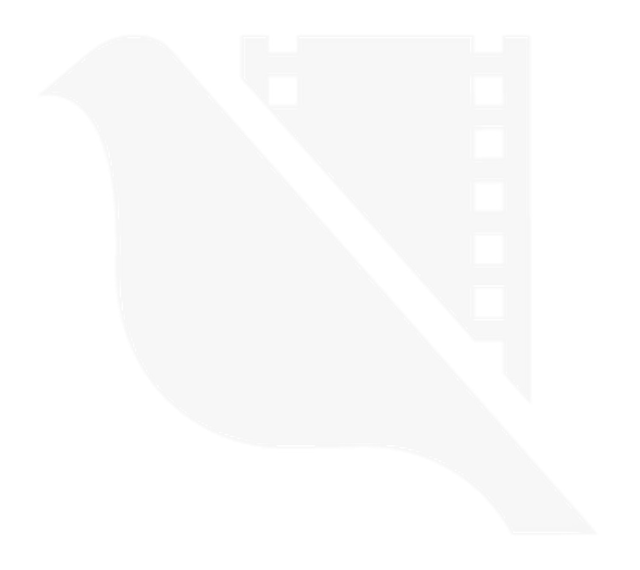 Novi Sad Film Festival