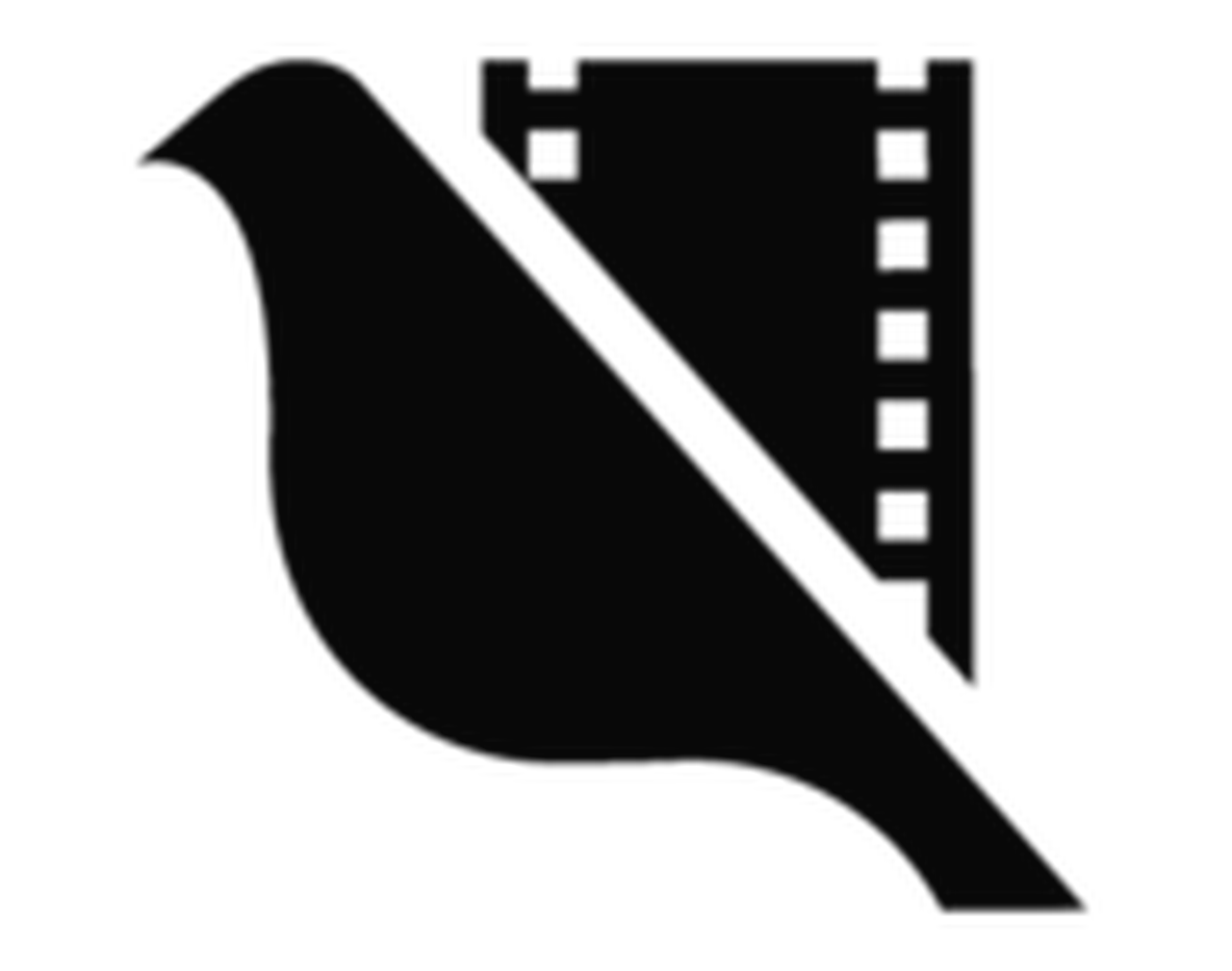 Novi Sad Film Festival