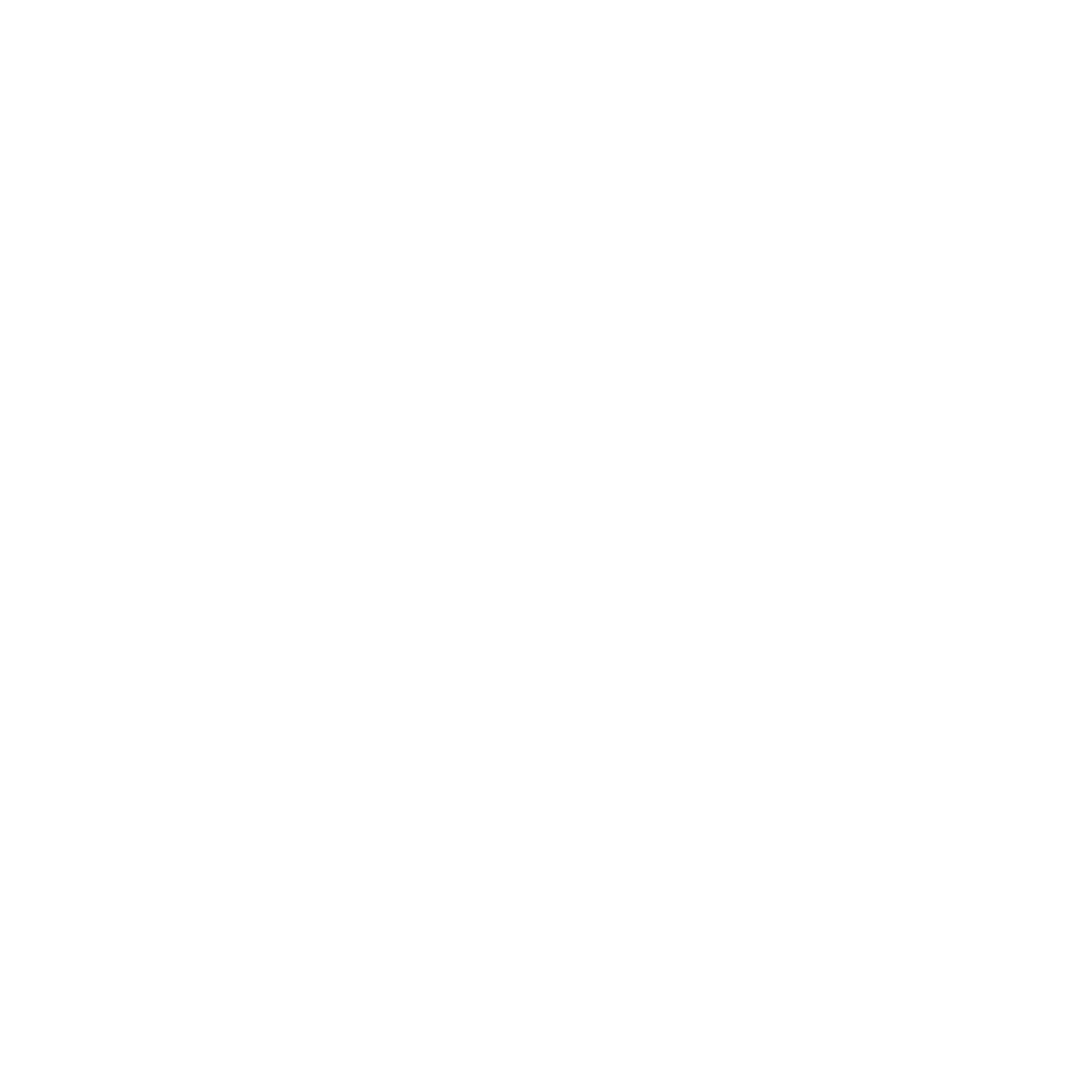 Calgary Underground Film Festival