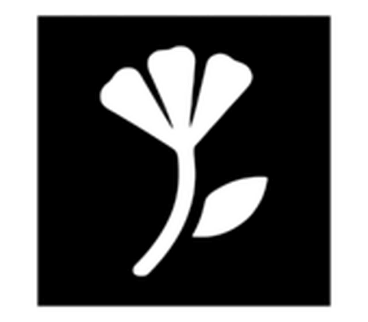 Doc.Coimbra International Documentary Film Festival