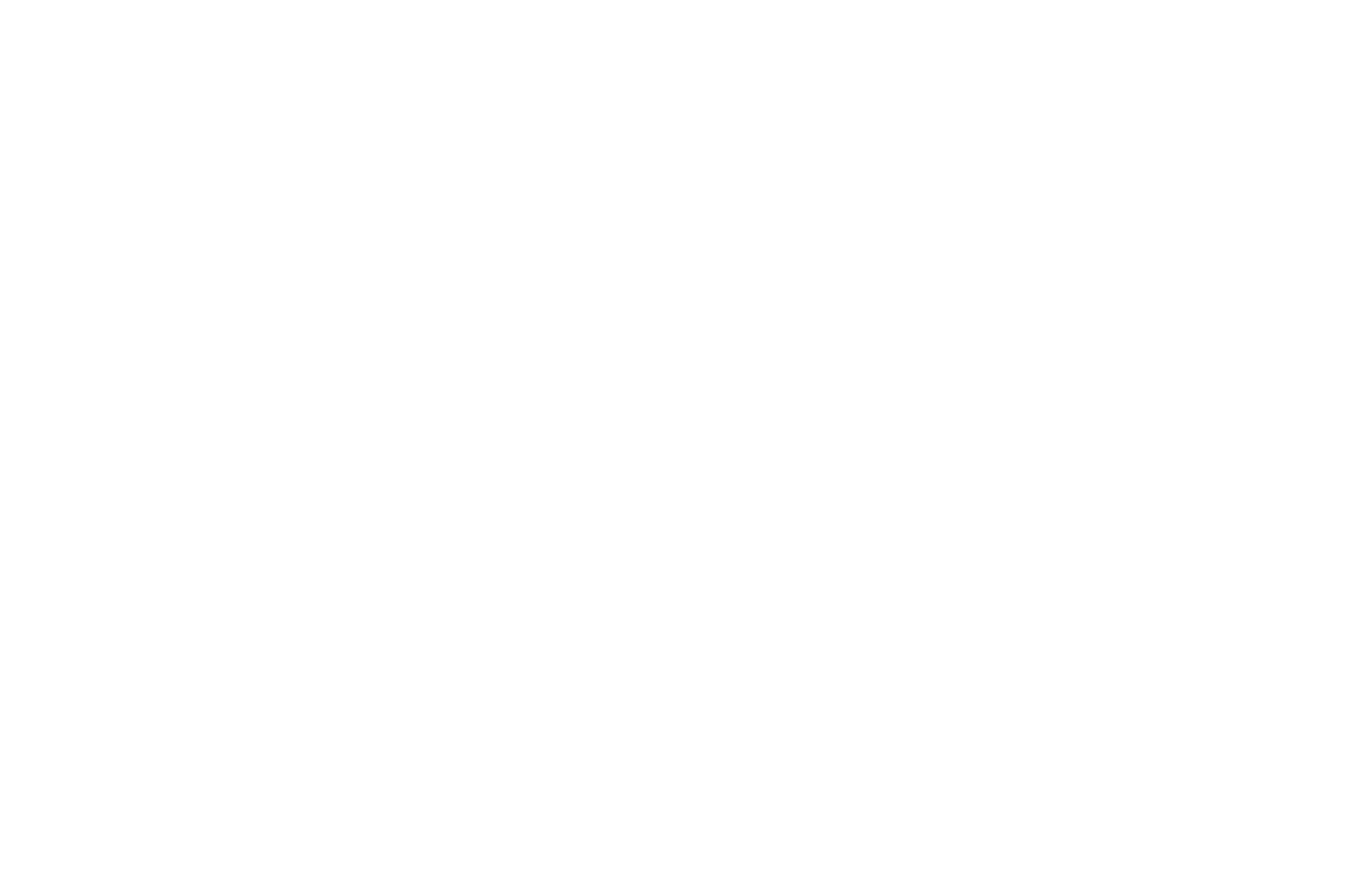 Portland Festival of Cinema, Animation & Technology