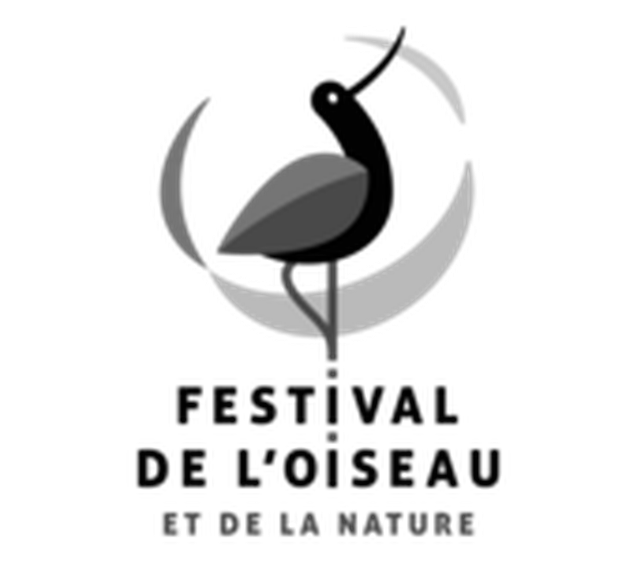 Baie de Somme Bird and Nature Festival