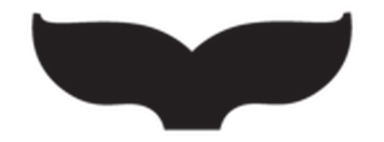 Split Film Festival