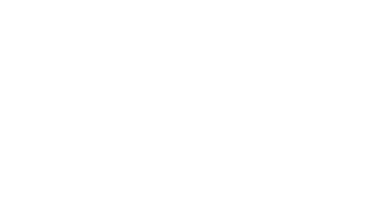 Calgary International Film Festival
