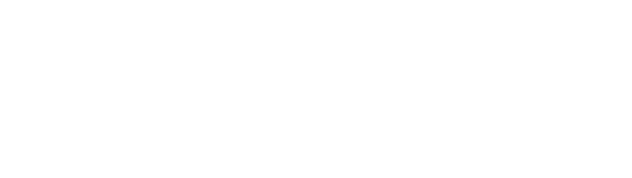 Calgary International Film Festival 2017