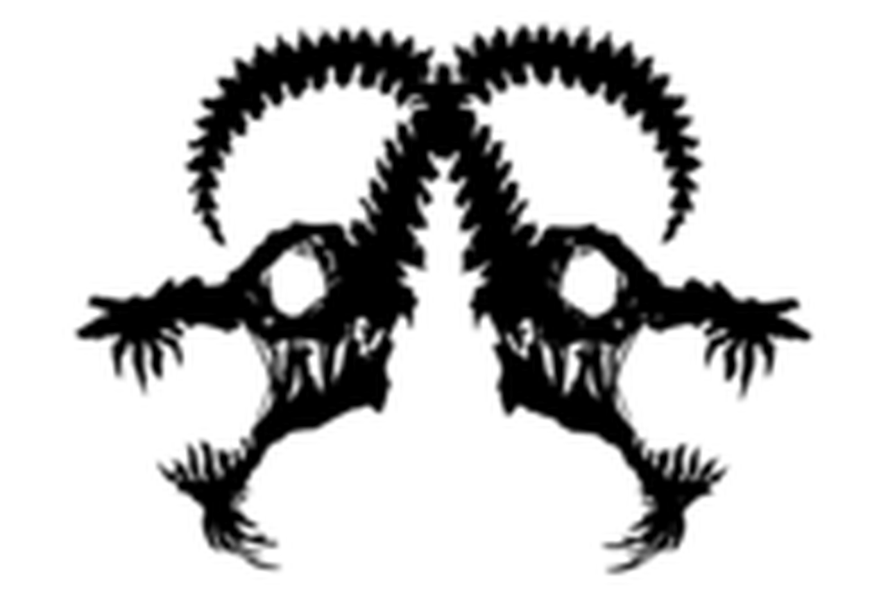Animal Film Fest