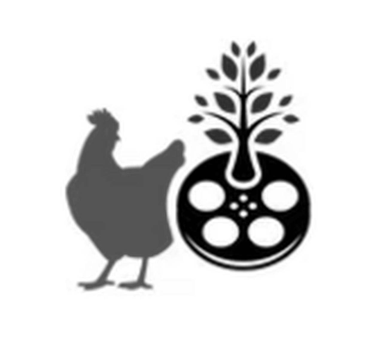 International Festival of Animal and Environmental Cinema