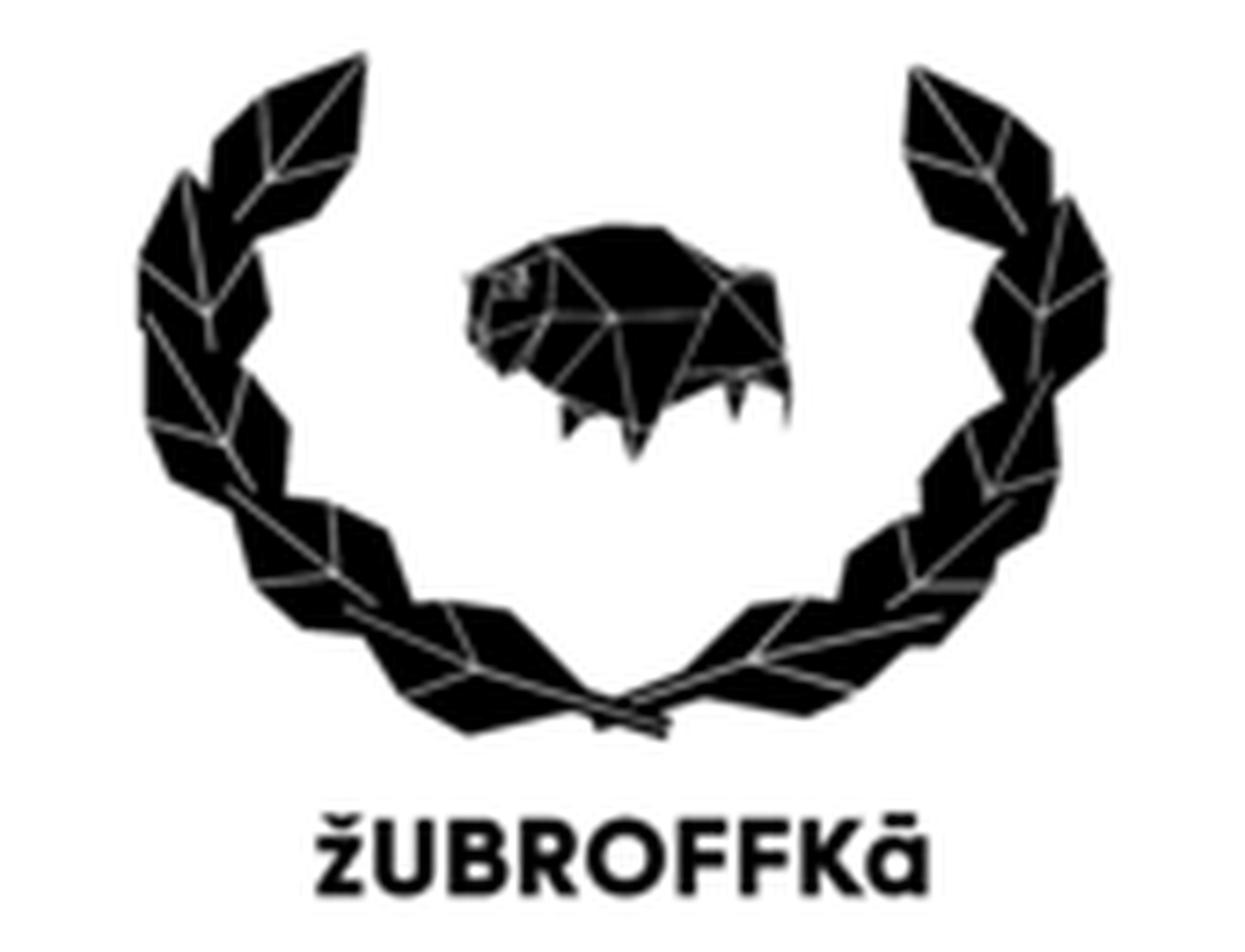 ZubrOFFka International Short Film Festival