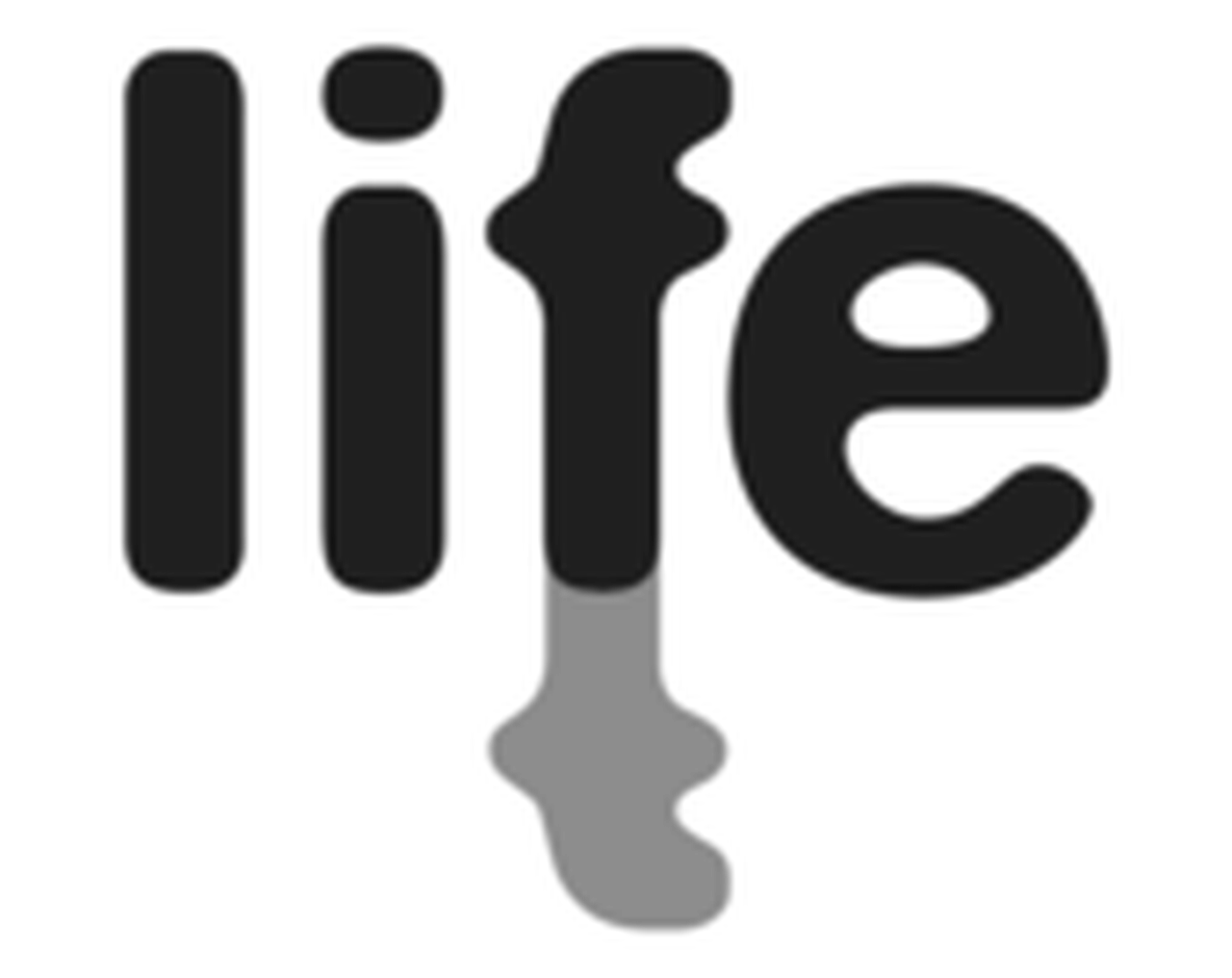 Ljubljana International Film Festival
