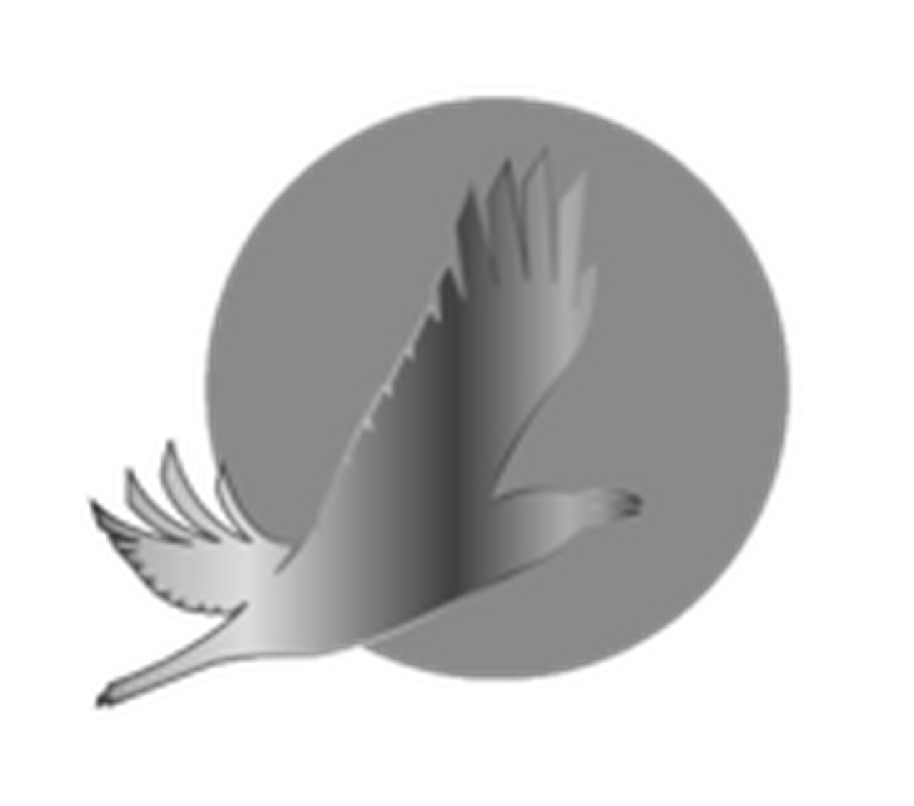 Arctic International Film Festival "Golden Raven"