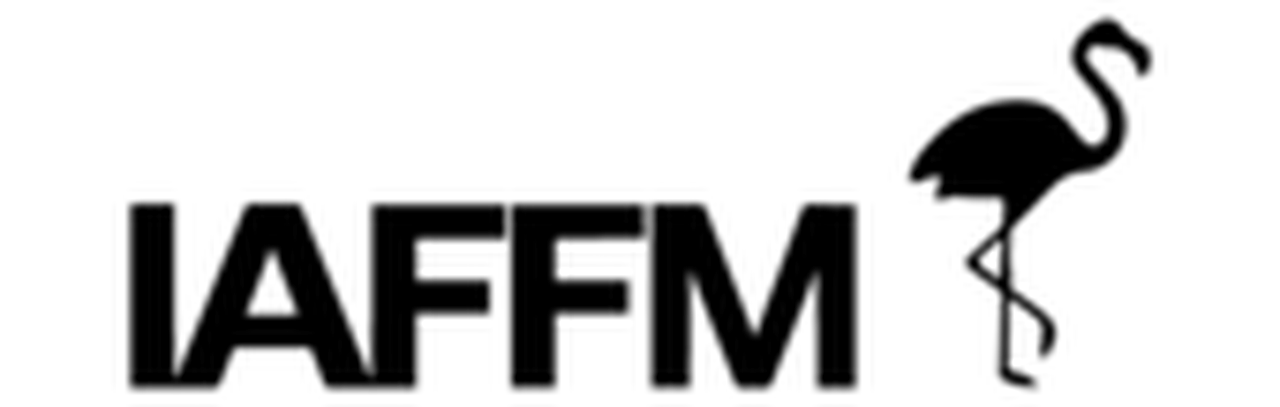 Ibero-American Film Festival Miami