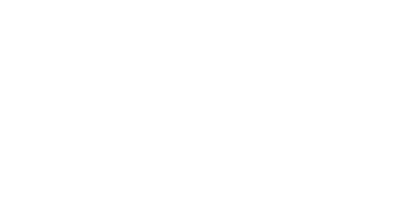 SESC Film Festival