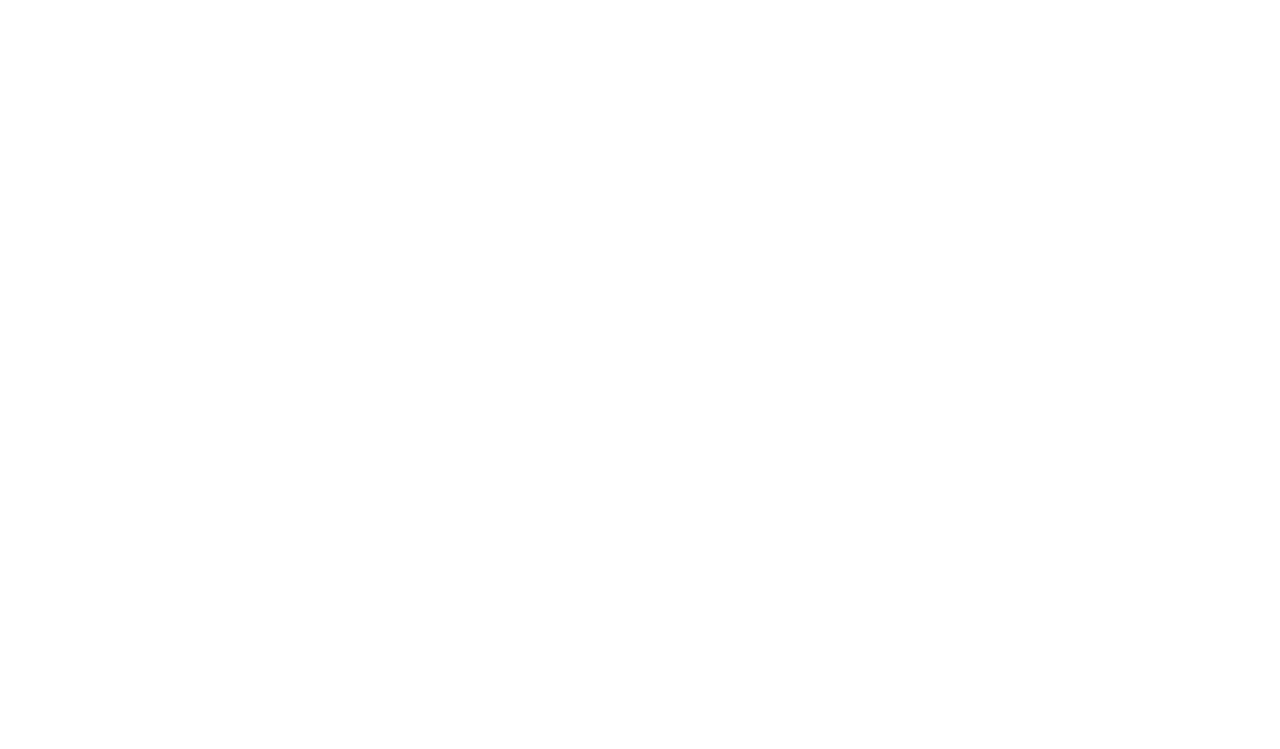 Leiden Shorts