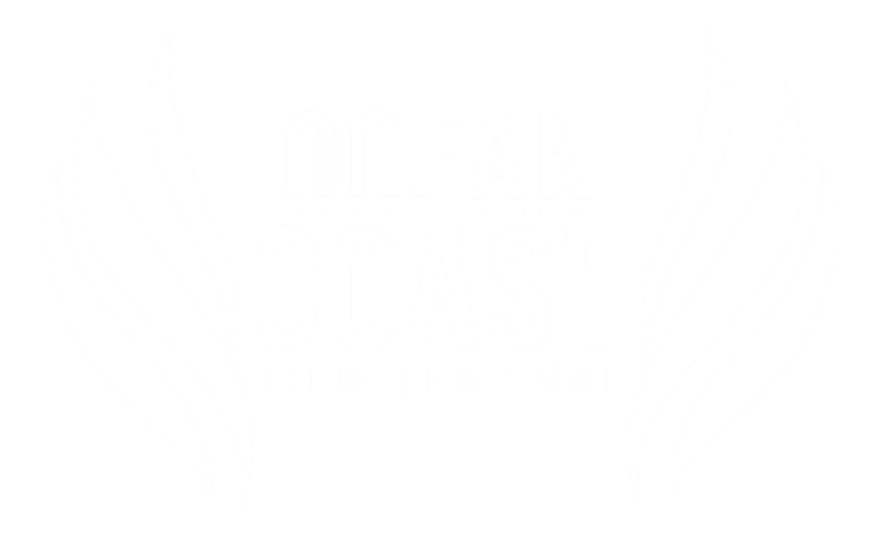 Ocean Coast Film Festival