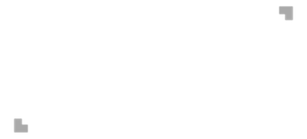 Montclair Film Festival